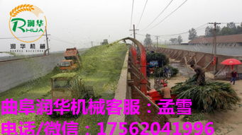 自動化浪潮下的畜牧飼料利器 多功能碎草機(jī)與鍘草機(jī)智造升級趨勢解析